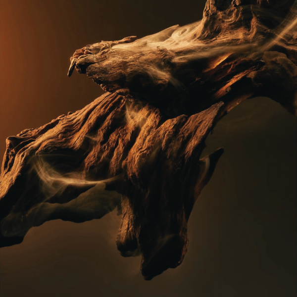 Oud scents